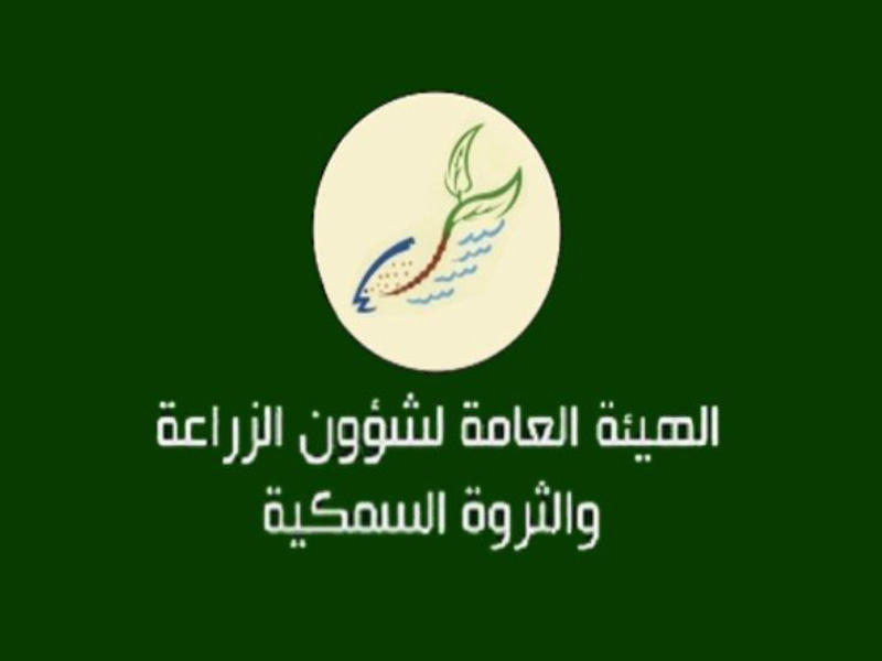 «الزراعة»: منتج علفي جديد لدعم مربي الثروة الحيوانية في البلاد