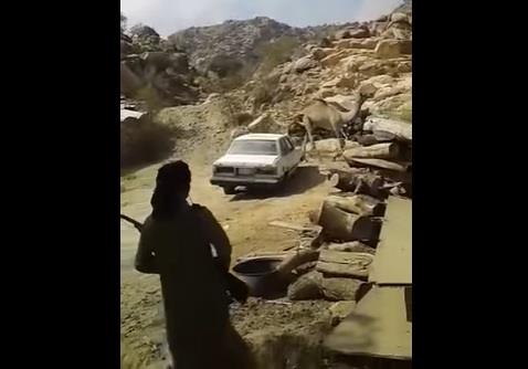بالفيديو.. طريقة وحشية لذبح جمل هائج تثير استياءا : ضربة بعصا ثم طلقه على رأسه !