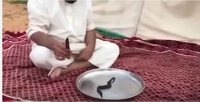 بالفيديو .. سعودي يشوي “حيه” ثم ياكلها بتلذذ مع اصدقائه!