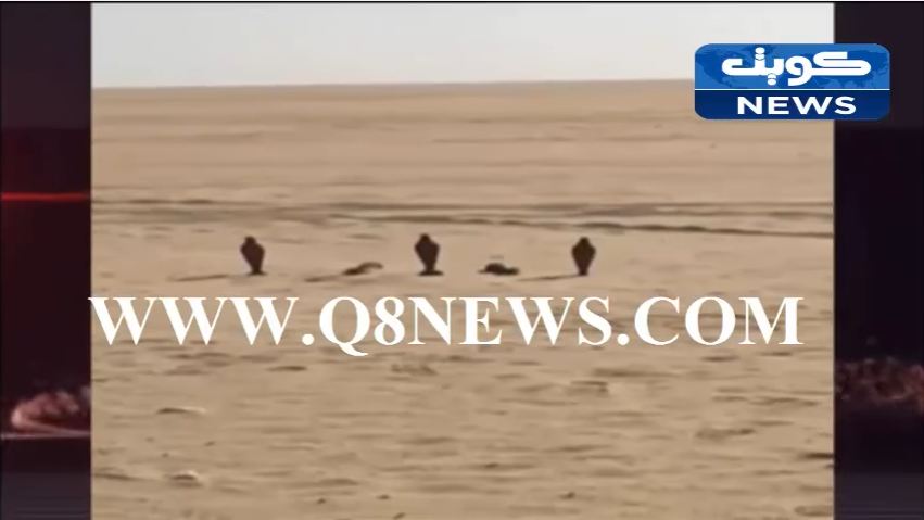 بالفيديو…ألغام منتشره في ام قدير‬!!