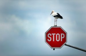 stop-620x405