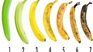 528587_e