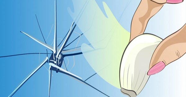 هل تعلمون كيف تصلحون زجاج السيارة المتشقق بواسطة فص ثوم ؟