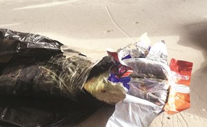 سوري بعد ضبط 4 كيلو حشيش معه: «ما بعرف منو حاط اللفافات في شاحنتي»