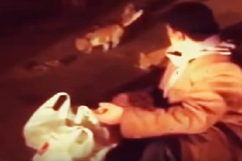 بالفيديو.. عامل يخرج في منتصف الليل يوميا ومعه “أكياس”.. الذي يفعله بها سيفاجئكم!