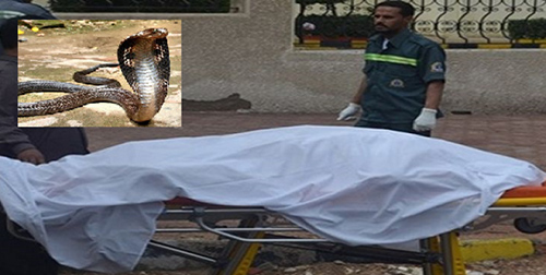 حدث في بلد عربي .. وضعت السم لزوجها ليخلو لها الجو