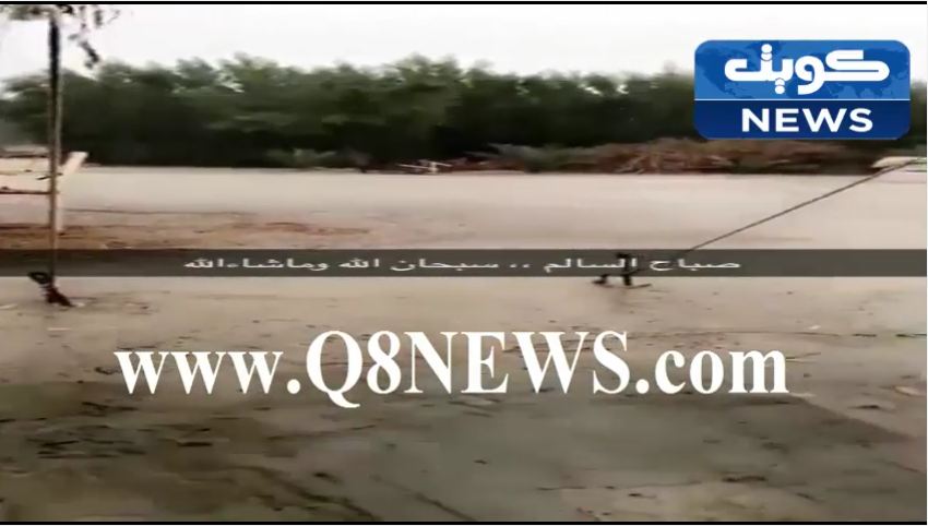 بالفيديو… شاهد امطار الخير في صباح السالم