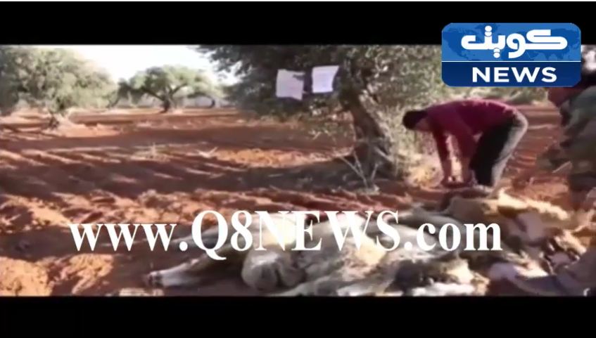 بالفيديو…المجاهدين في ادلب الحره يباركون لبعض نواب الامه لوصولهم الي مجلس الامه