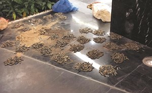 العثور على 2643 طلقة مع متعاطٍ ومدين