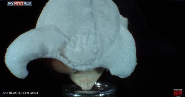 فيديو.. مذهل.. انفجار حبة “نفيش” كما لم تره من قبل