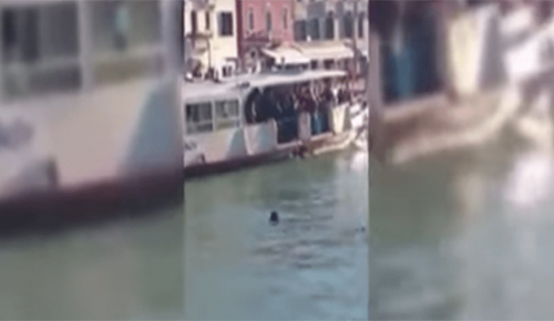 فيديو صادم.. لاجئ يغرق في البندقية والمارة يكتفون بالتصوير والضحك