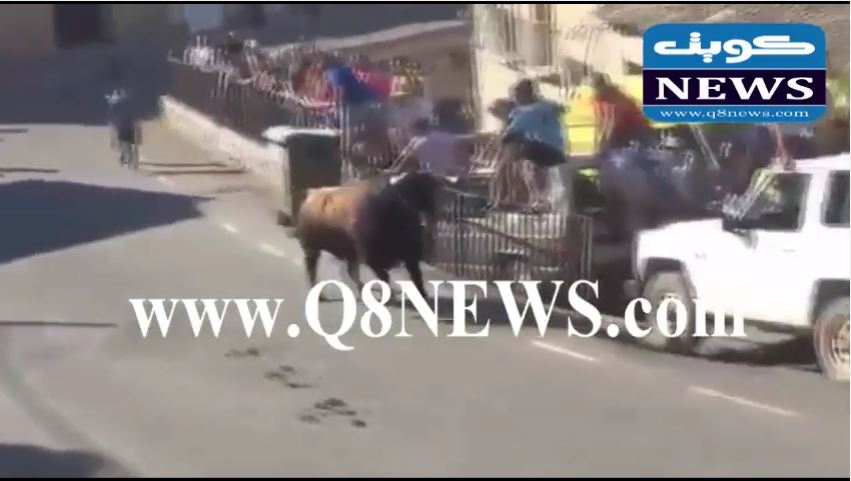 فيديو: شاهد ماذا فعل ثور هائج بسيارة رباعية الدفع !!