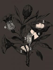 721857-4