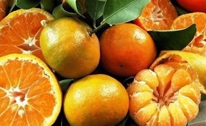 9 أسباب تدعوك لأكل المزيد من الحمضيات