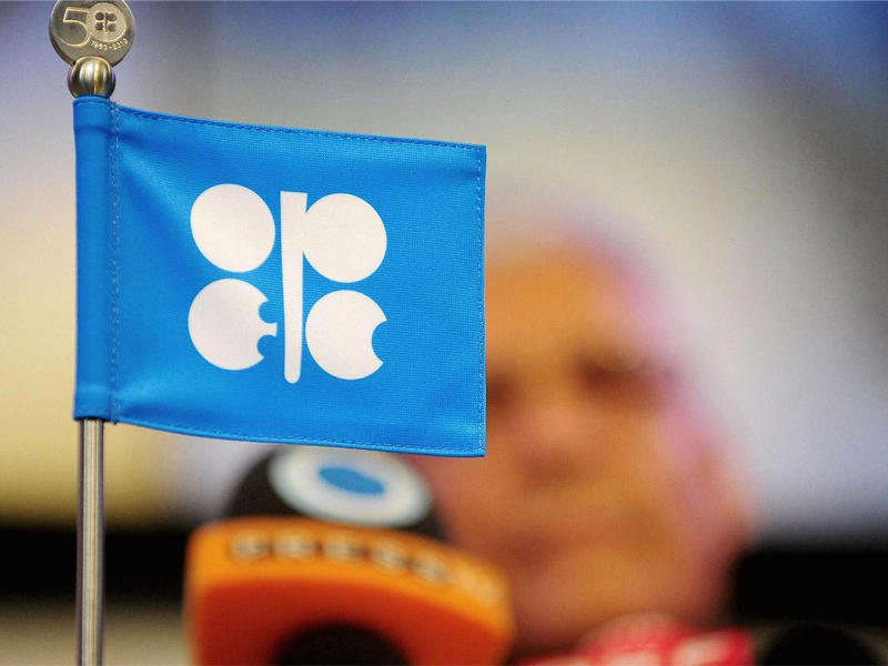 سعر سلة خامات «أوبك» يستقر عند 50.20 دولار للبرميل