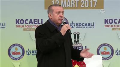 أردوغان: هولندا تصرفت كجمهورية موز