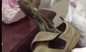 بالفيديو.. أين يخبئ طفل متسول في السعودية حزما عديدة من الريالات