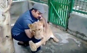 شاهد.. عناق “شرس” بين سعودي وصديقه الأسد