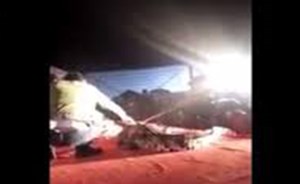 بالفيديو…حاول المدرب ادخال رأسه في فك التمساح.. وما حدث بعدها مخيف!