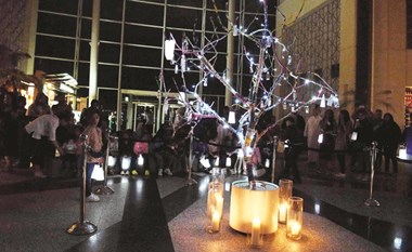 الكويت شاركت العالم في إحياء ساعة الأرض