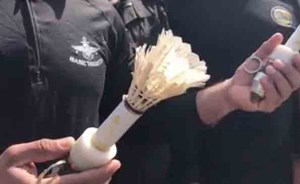 بالفيديو.. آخر اخترعات داعش.. “ريش الدجاج” لصناعة القنابل