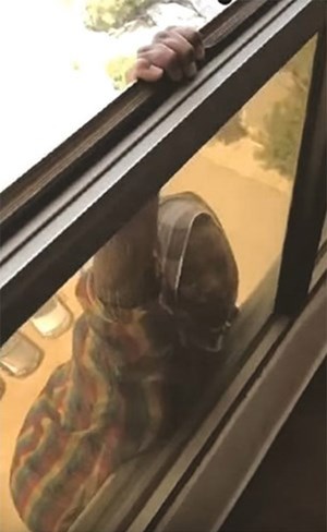 النيابة تطلق سراح كفيلة الإثيوبية بكفالة 300 دينار