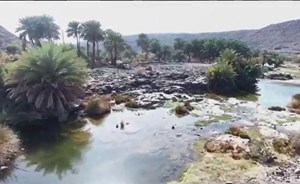 بالفيديو…شاهد الوادي الذي غير اسمه الرسولﷺ.. وماذا حل به؟