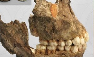 بالفيديو.. فريق بحثي يكتشف بقايا جمجمة عمرها بين 29 إلى 30 مليون سنة بمكة المكرمة