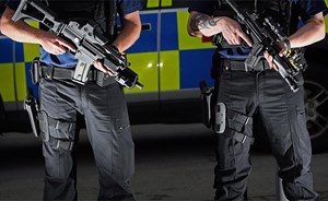 إنقاذ طفلة من أنياب كلب “كاد يفترسها”