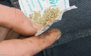 صنف حشيش “قاتل” في برمنغهام