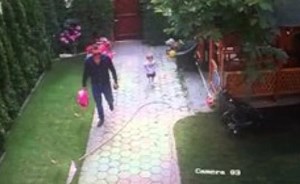بالفيديو.. رد فعل مذهل لأب ينقذ طفلته من هجوم كلب