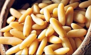 13 فائدة لا تعرفونها عن الصنوبر.. ستُذهلك!
