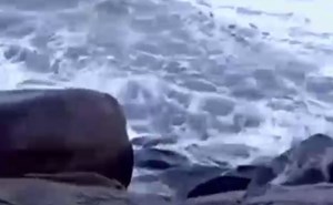 بالفيديو ..شاهد “سيلفي” الأمواج القاتل