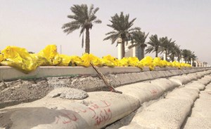 تزايد الأسماك النافقة على سواحل الكويت