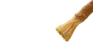 «المسواك» موضة جديدة بين شباب أوروبا