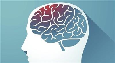 كيف تحافظ على شباب الدماغ؟