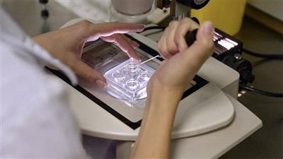 دراسة تكشف علاقة بين عقم الرجال ومشاهدة التلفاز