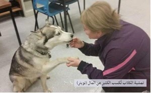 هذه أسهل مهن العالم… مع راتب كبير !