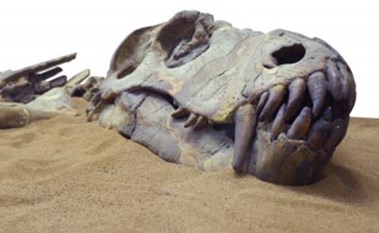 “اكتشافٌ مبهر” بالمغرب.. هكذا يبدو آخر ديناصورات إفريقيا قبل انقراضه