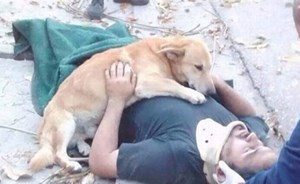كلب وفي يلازم صاحبه المصاب حتى وصول المسعفين .. اليكم تفاصيل الحادثة