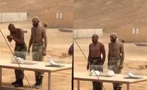 بالفيديو.. جنود يتناولون ثعابين حية ويسلخون أرنبًا حيًا في أحد التدريبات