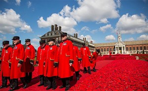 بركان نشط من الزهور