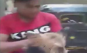 طفل “ينقض” على كلب مفترس ويشل حركته!