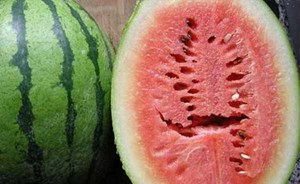 اذا رأيت هذه الشقوق في فاكهة البطيخ، إرمها بعيداً !