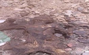 العثور على جثة متفحمة بمنطقة خالية من السكان في السعودية