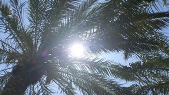 «الأرصاد»: استمرار شدة حرارة الطقس خلال نهاية الأسبوع