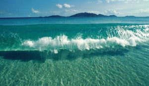 610864_12JPG_-_Qu65_RT728x0-_OS1274x739-_RD728x422-