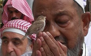 من هو صاحب هذه الصورة التي أشعلت مواقع التواصل في رمضان ؟