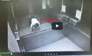 فيديو مروّع.. مصعد يسحق رجلا بعد تحركه بشكل مفاجئ ..شاهد ما التقطته الكاميرات !