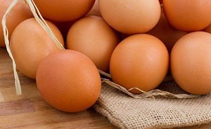 بيضة واحدة يوميًا تحمي الأطفال من التقزّم ونقص الوزن